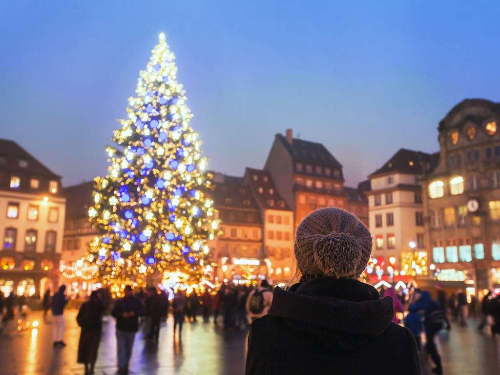 Ibis Strasbourg Sud La Vigie Otel Ostwald Dış mekan fotoğraf